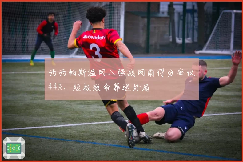 西西帕斯温网八强战网前得分率仅44%,短板致命葬送好局