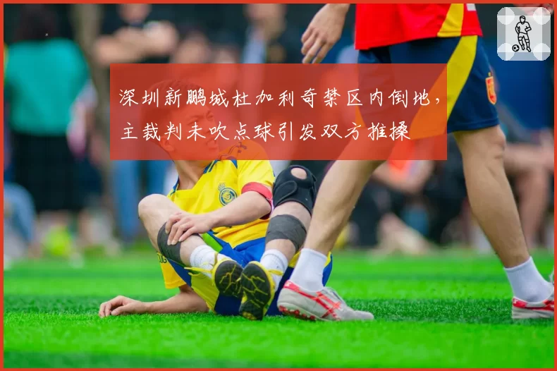 深圳新鹏城杜加利奇禁区内倒地，主裁判未吹点球引发双方推搡