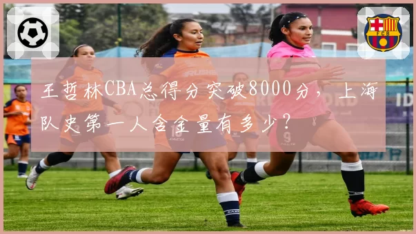 王哲林CBA总得分突破8000分，上海队史第一人含金量有多少？
