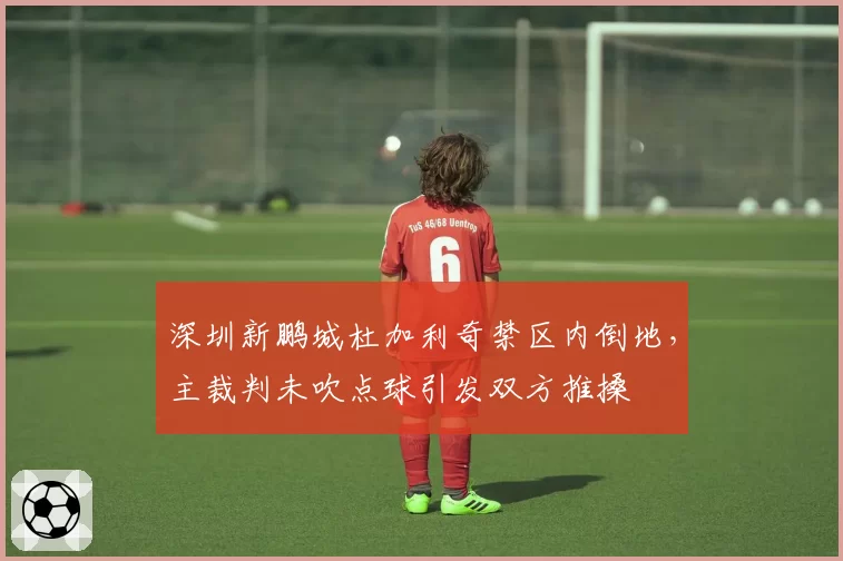 深圳新鹏城杜加利奇禁区内倒地，主裁判未吹点球引发双方推搡
